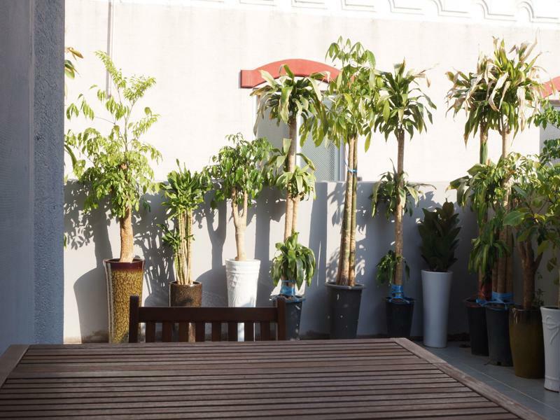 בוסאן Business Hotel Haeundae S מראה חיצוני תמונה